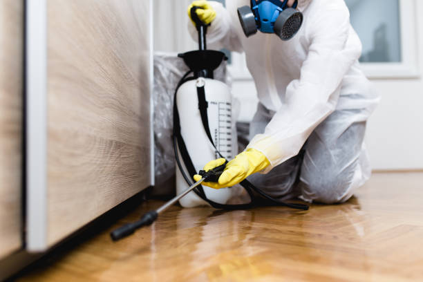 Best Wasp Removal Services  in Menasha, WI