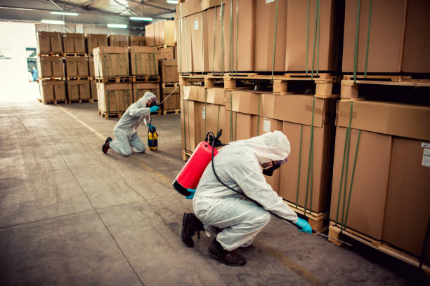 Best Emergency Pest Control  in Menasha, WI