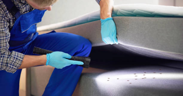 Professional Pest Control in Menasha, WI