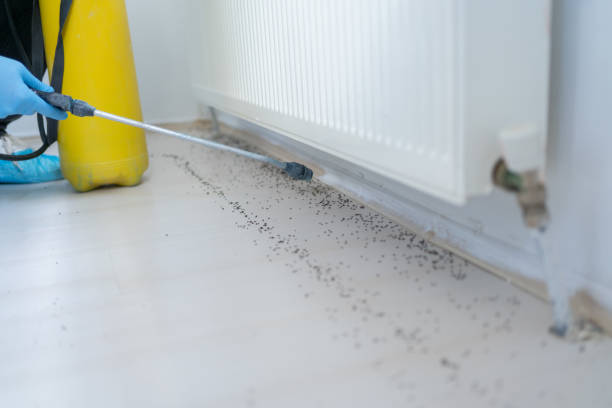 Wildlife Control Services in Menasha, WI